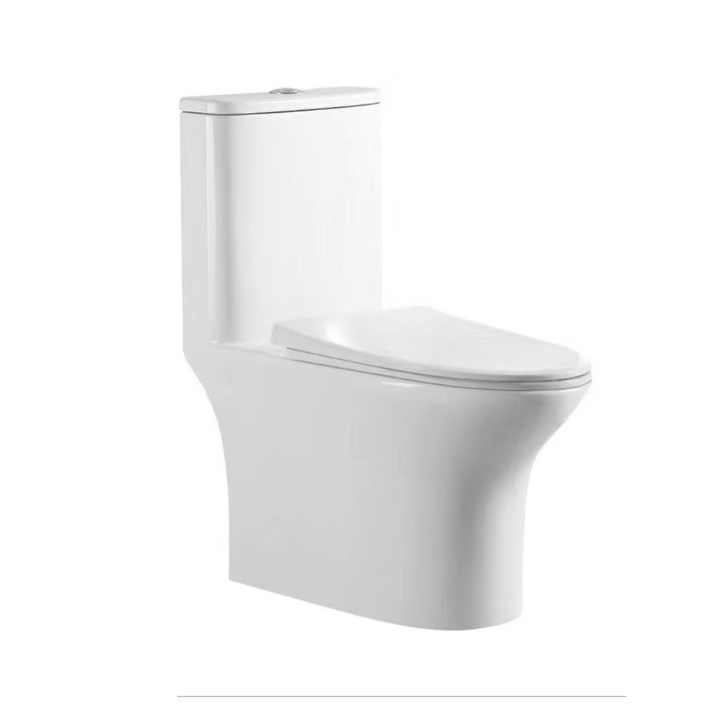 Rimless Single Piece-WC