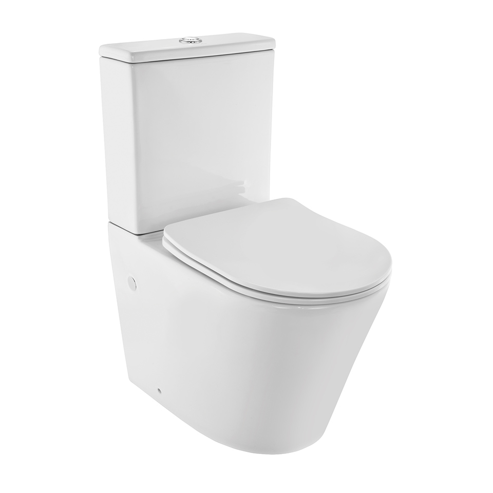 Rimless Bowl with cistern