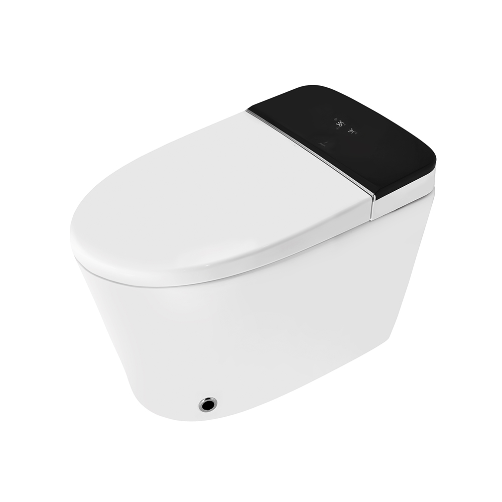 Fully Automatic Rimless Floor Mounted WC - Black Matt