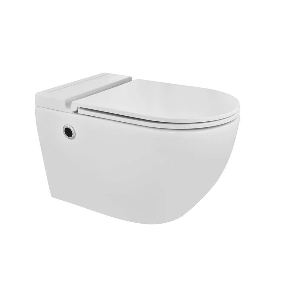 Tankless Wall Hung WC