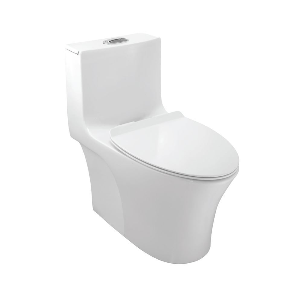Rimless Single Piece WC