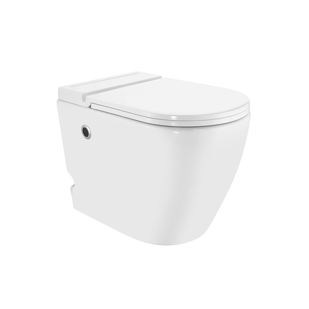 Tankless Single Piece WC