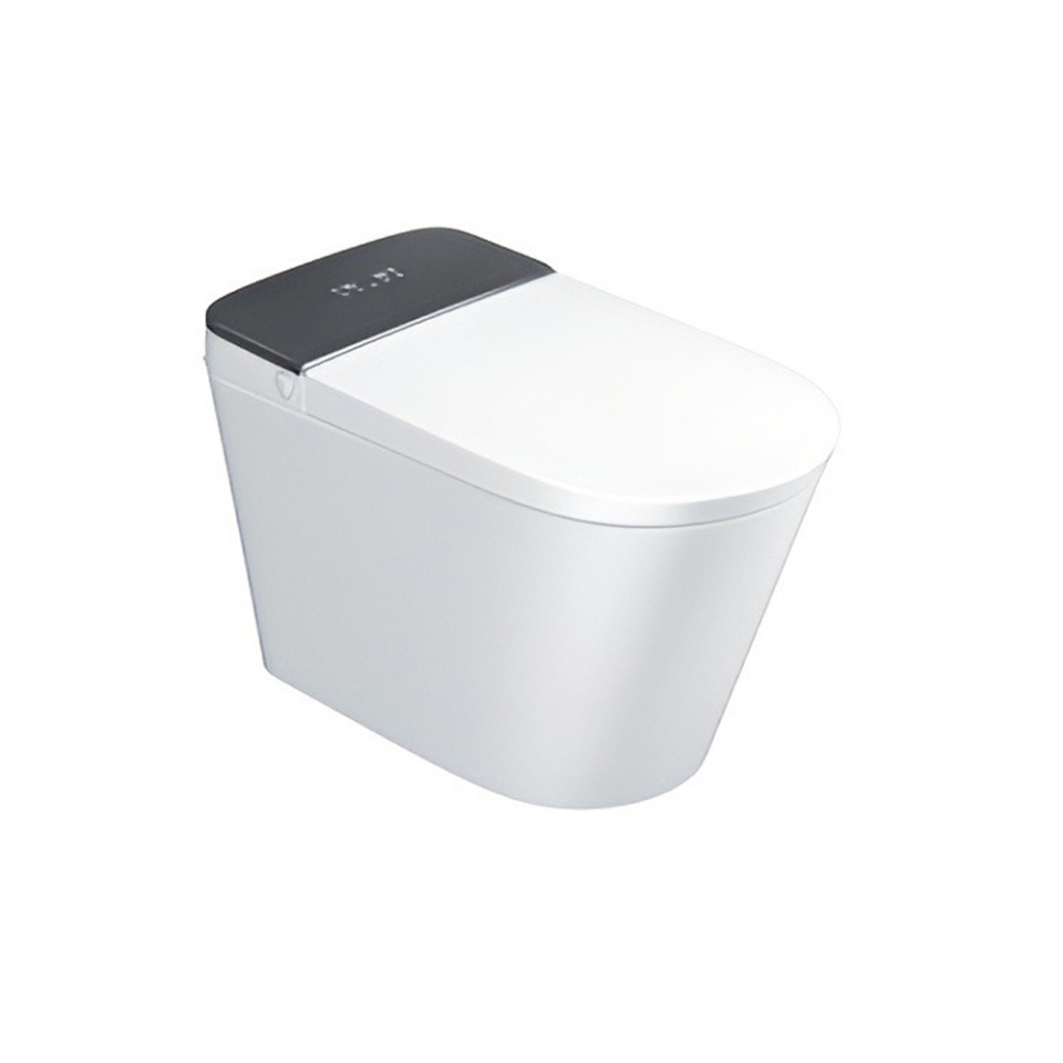 Automatic Rimless Floor Mounted WC