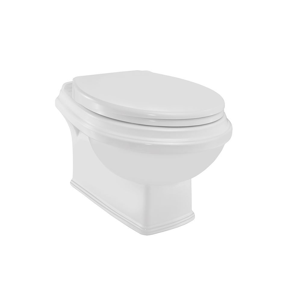 Rimless wall hung WC