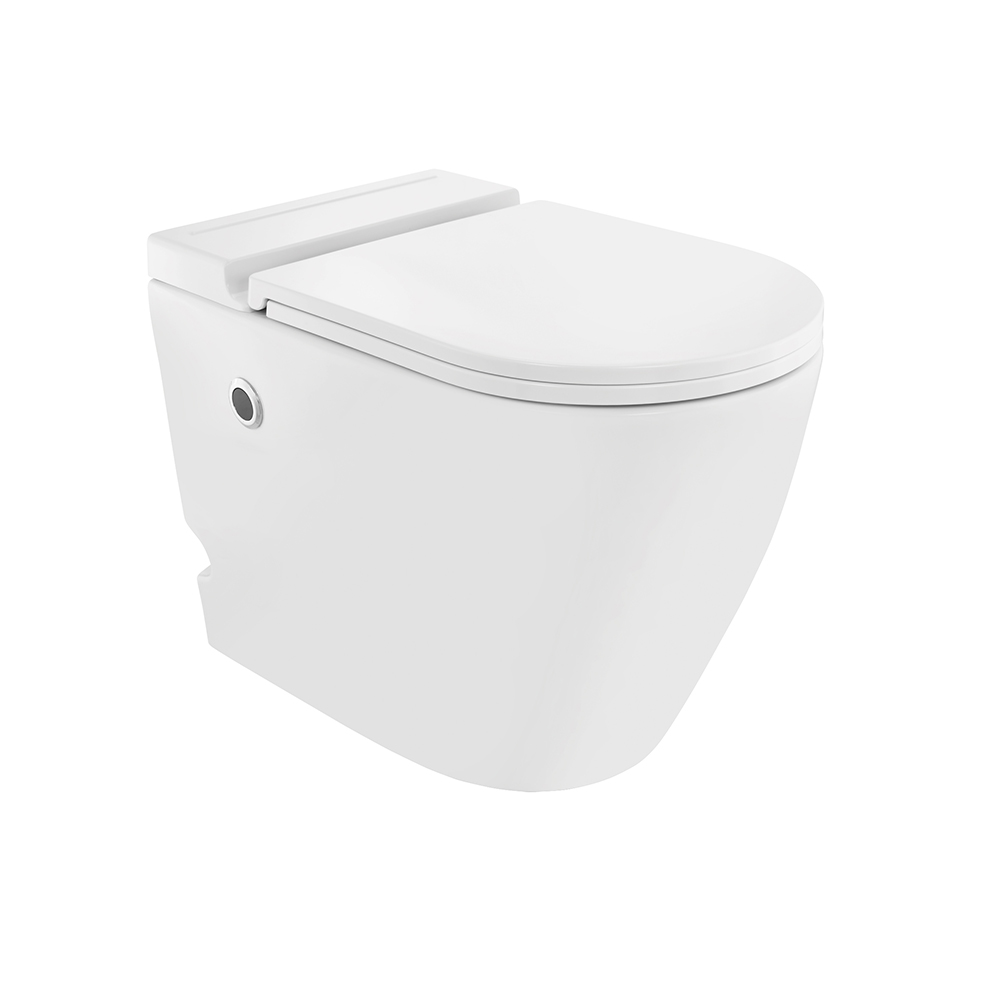 Tankless Single Piece WC