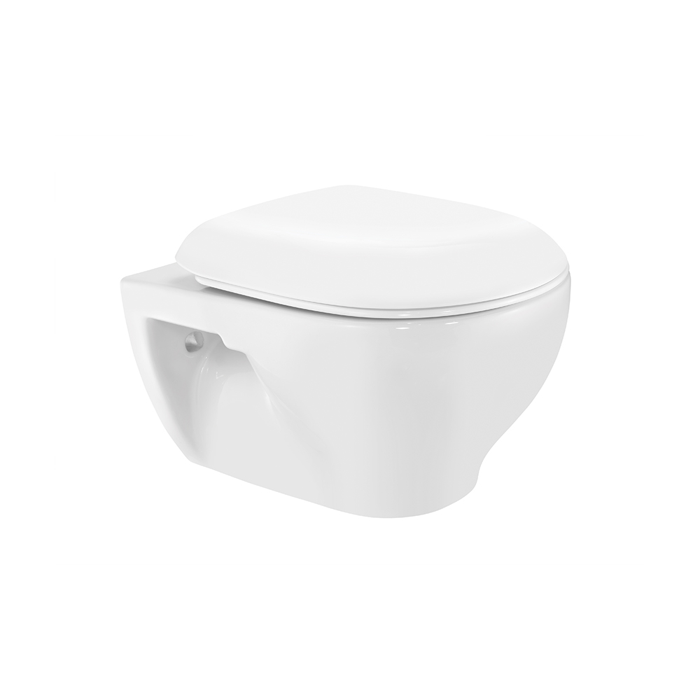 Rimless Wall Hung WC