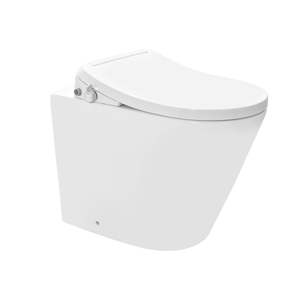 Bidspa Rimless Back To Wall WC