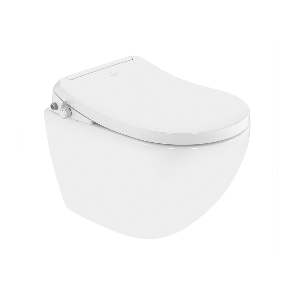 Bidspa Rimless Blind Installation Wall Hung WC - Beige Matt