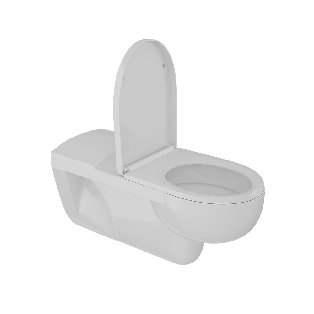 Wall Hung WC