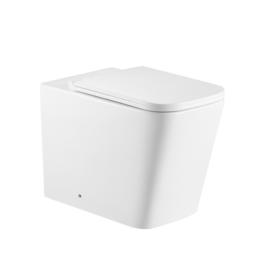 Rimless Back To Wall WC