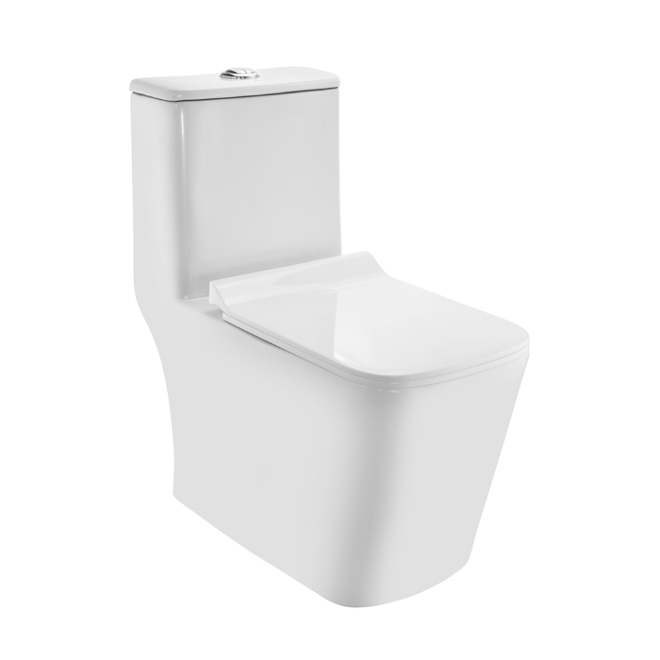 Rimless Single Piece WC