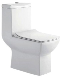 Rimless Single Piece WC