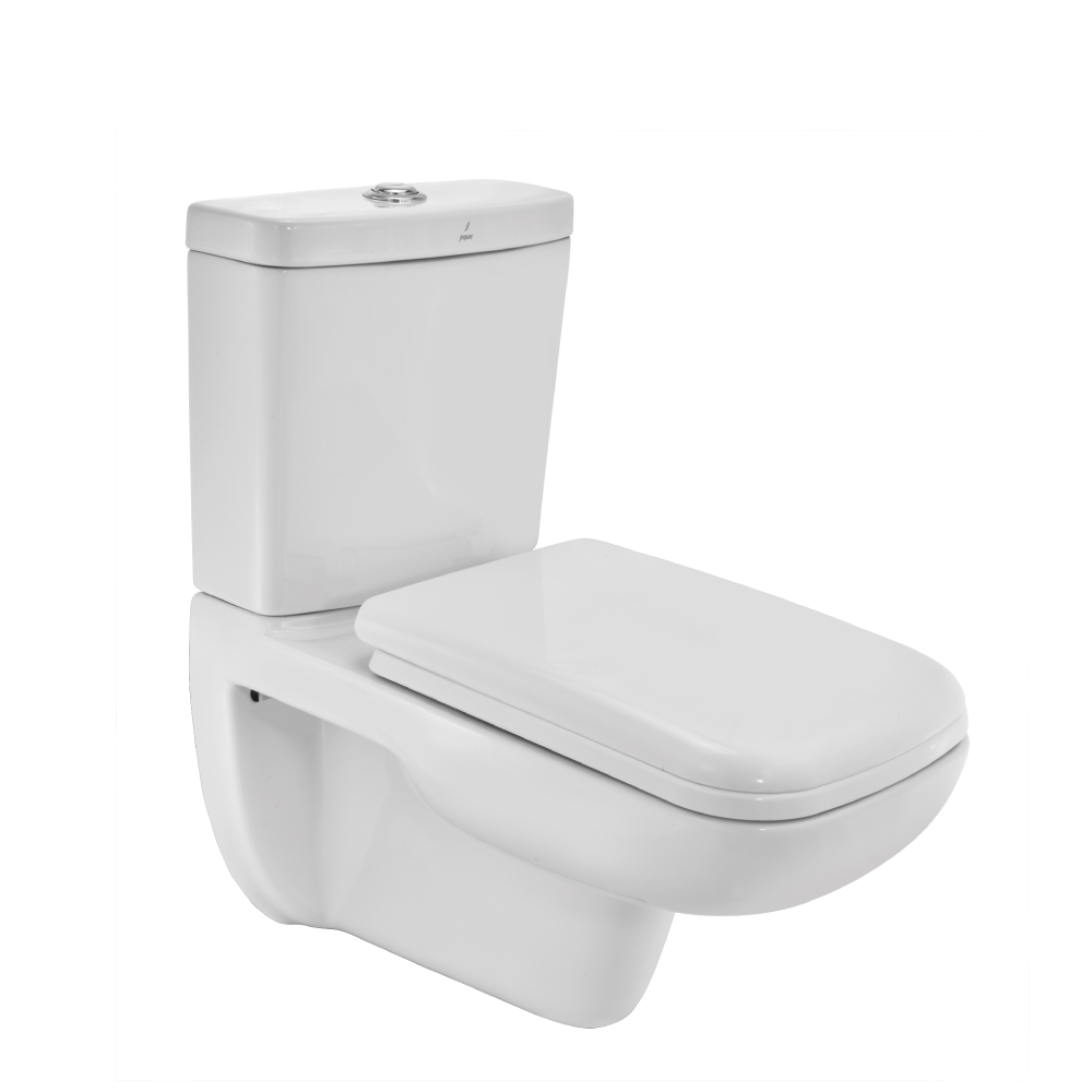 Extended Wall Hung Couple Closet WC