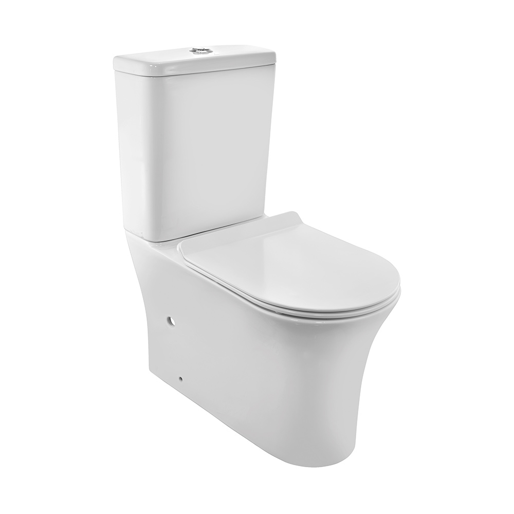 Rimless Bowl With Cistern For Coupled WC