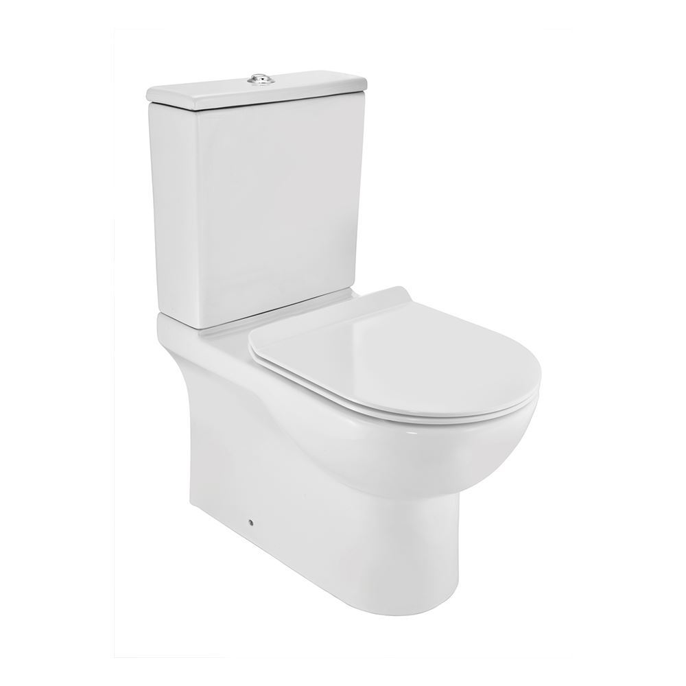 Rimless Bowl with cistern