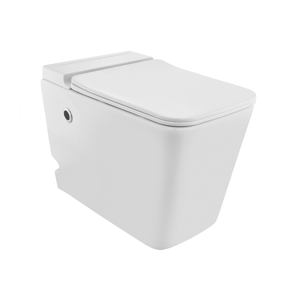 Tankless Single Piece WC