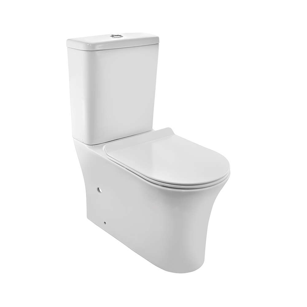 Rimless Bowl With Cistern For Coupled WC