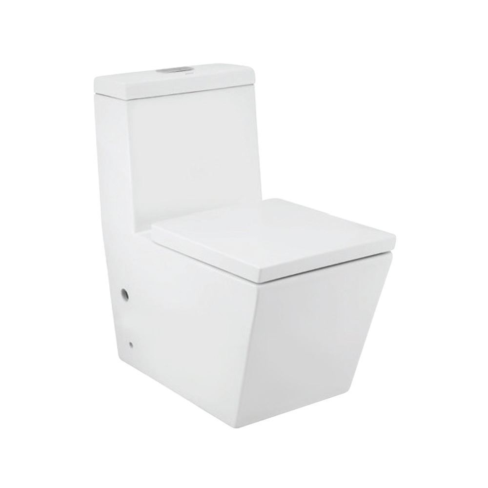 Single Piece WC with UF soft close seat cover.
