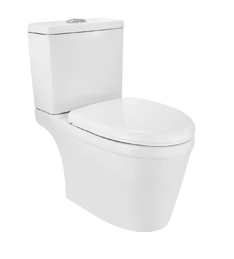 Bowl With Cistern For Coupled WC