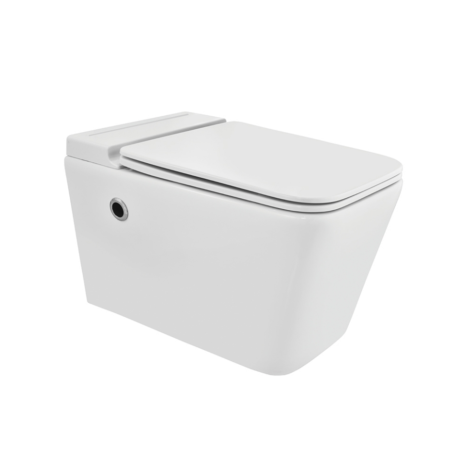 Tankless Wall Hung WC