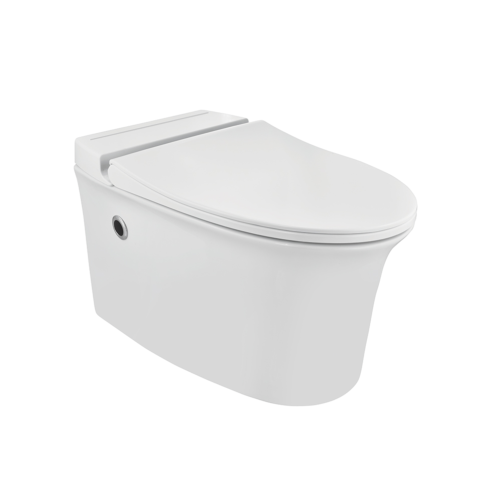 Tankless Wall Hung WC
