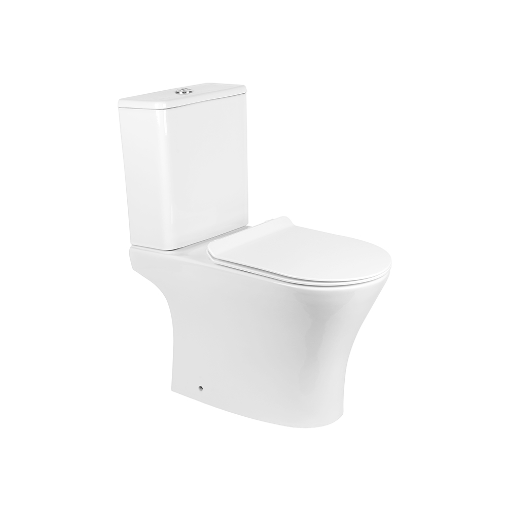 Rimless Bowl With Cistern For Coupled WC