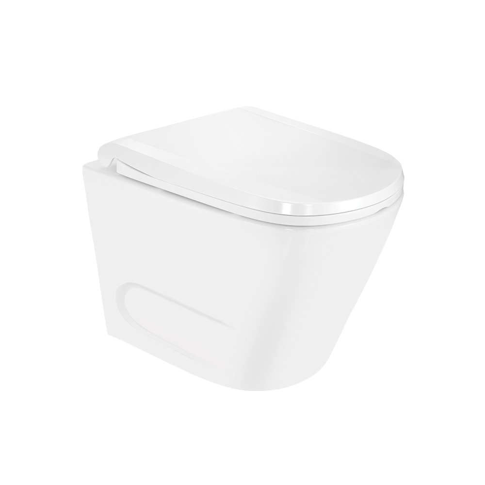Rimless Blind Installation Wall Hung WC - White Matt