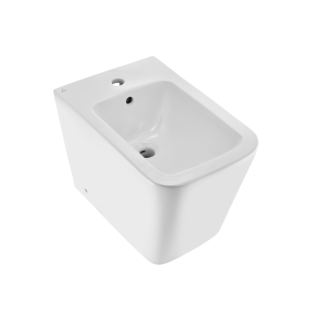 Floor Mounted Bidet