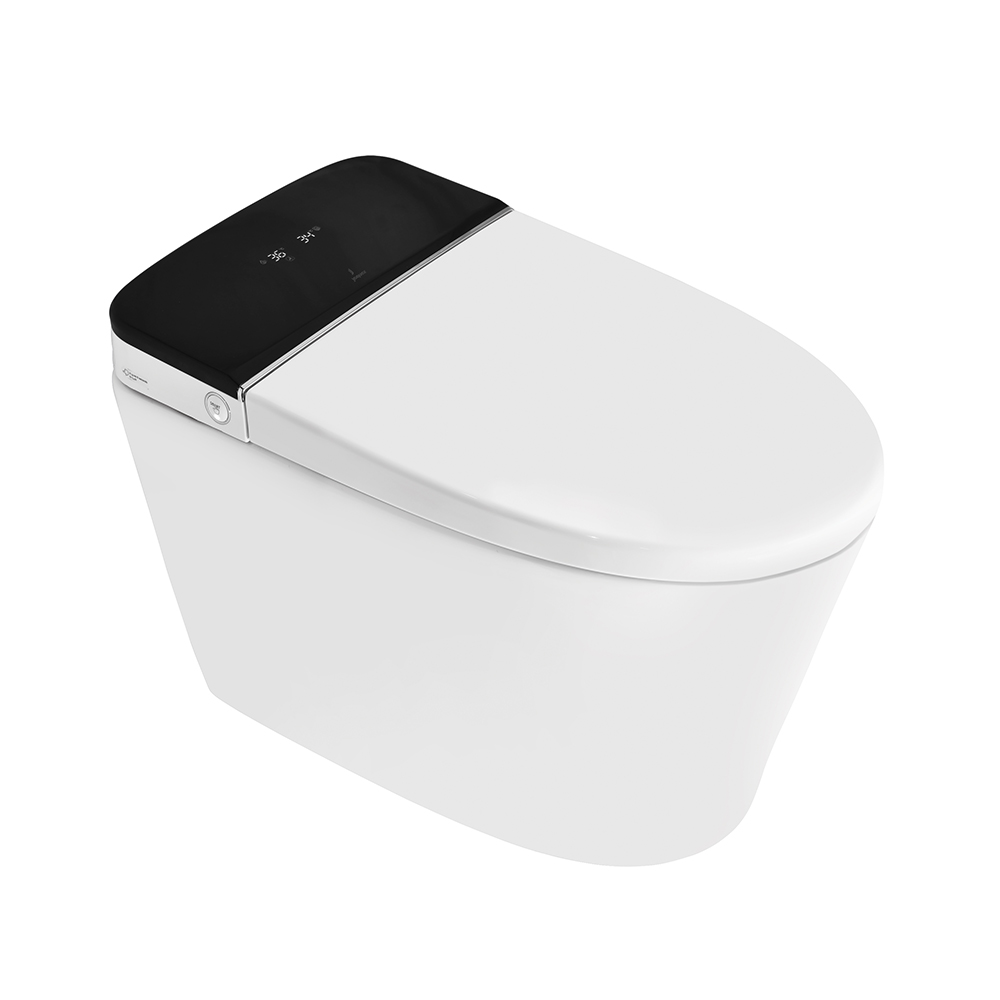 Automatic Rimless Floor Mounted WC