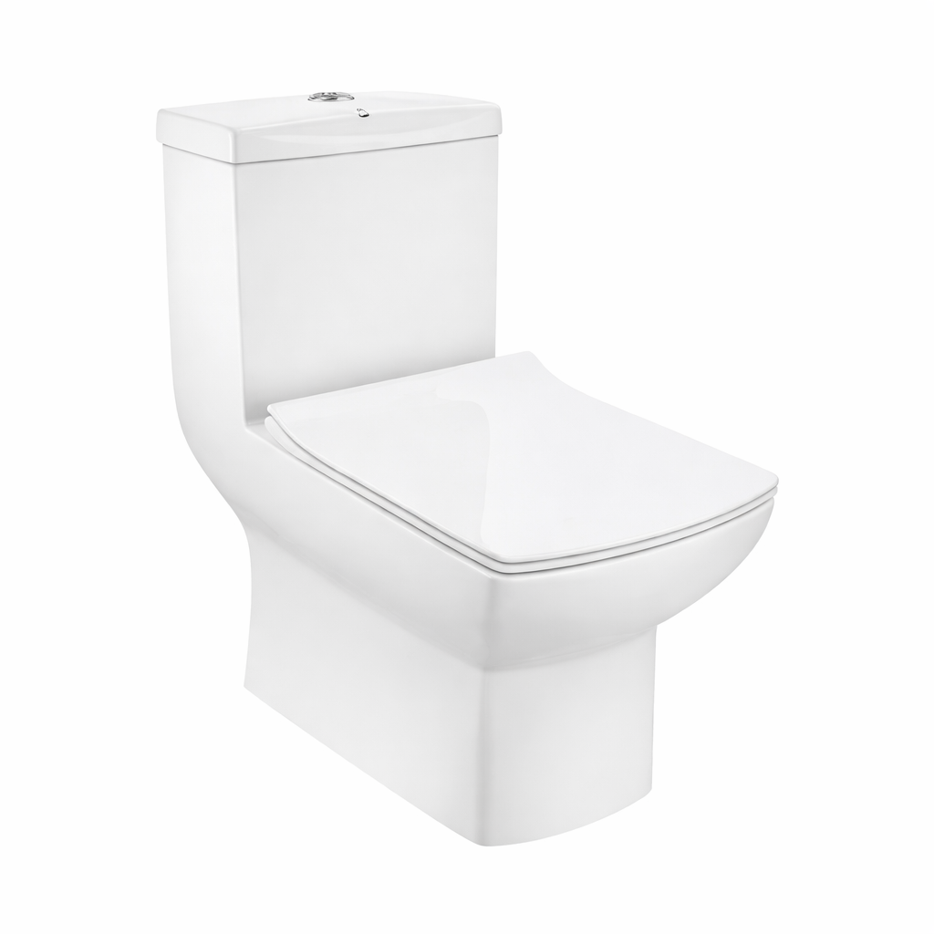 Rimless Single Piece WC