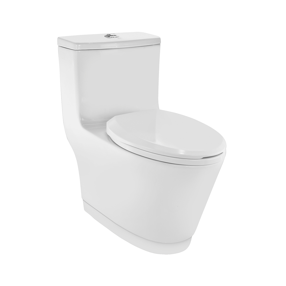 Rimless Single piece-WC