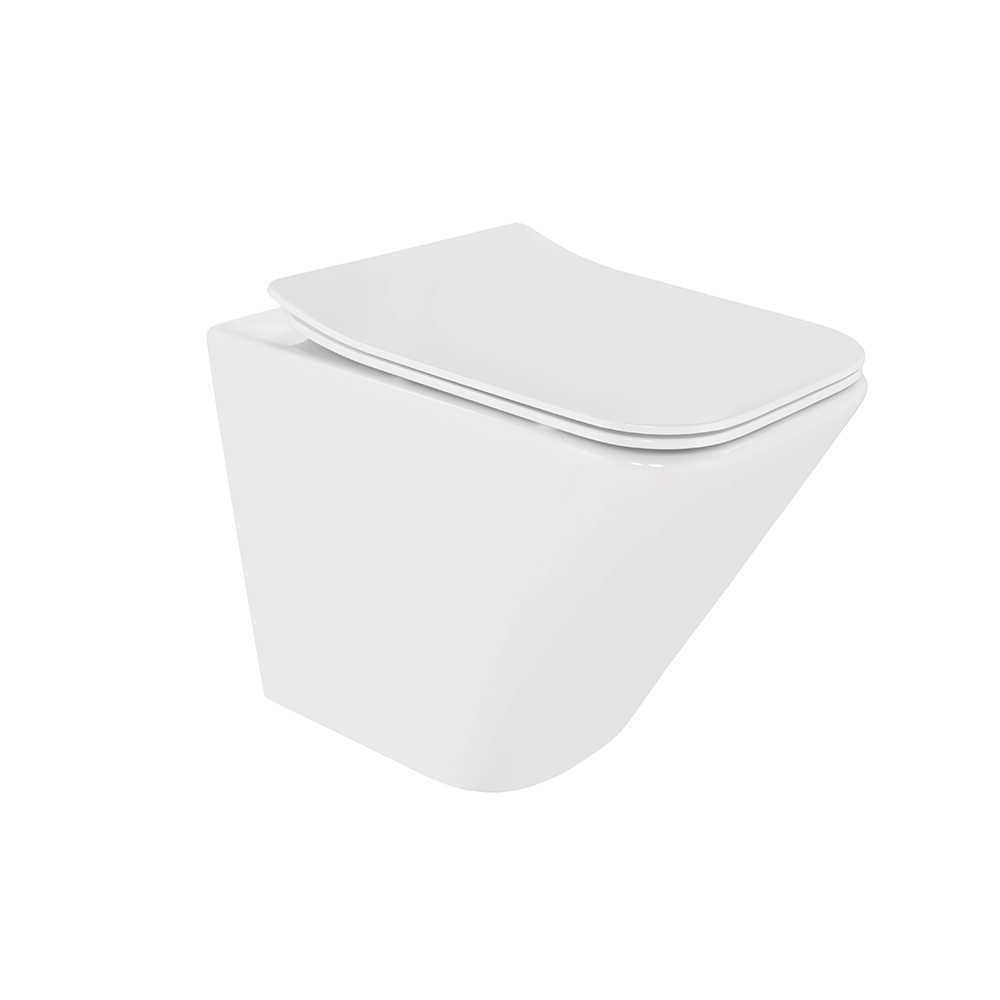 Rimless Back To Wall WC