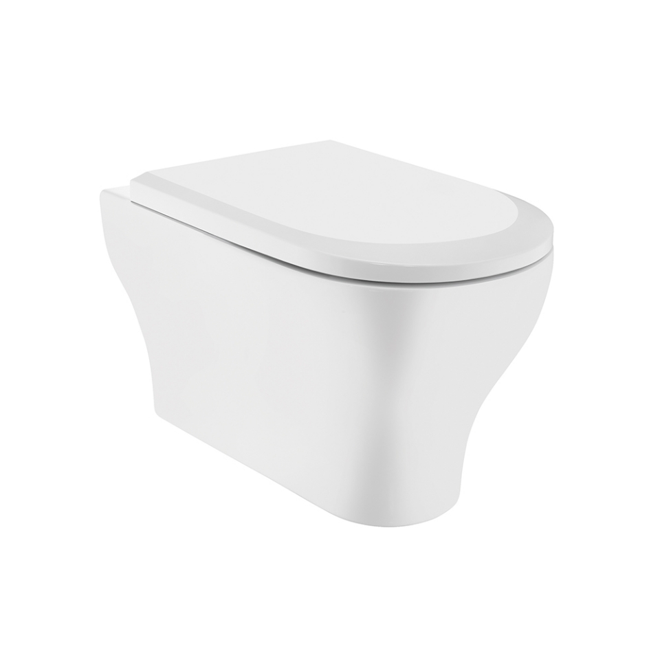 Rimless Blind Installation Wall Hung WC