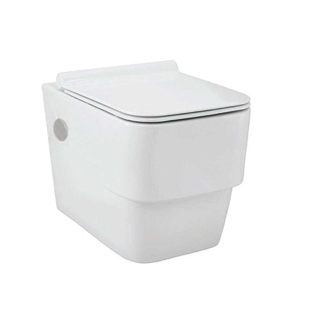 Rimless Blind Installation Wall Hung WC