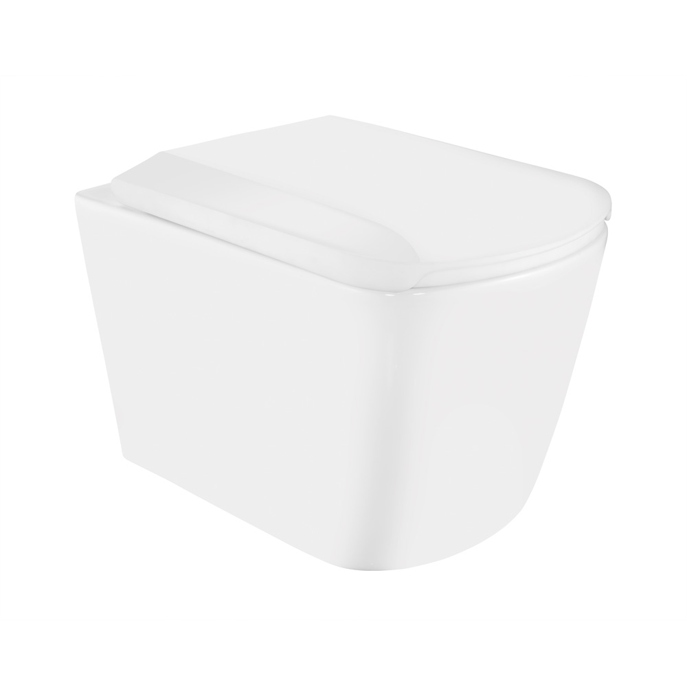 Rimless Wall Hung WC