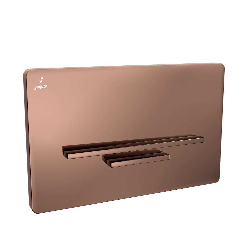 Control Plate Laguna