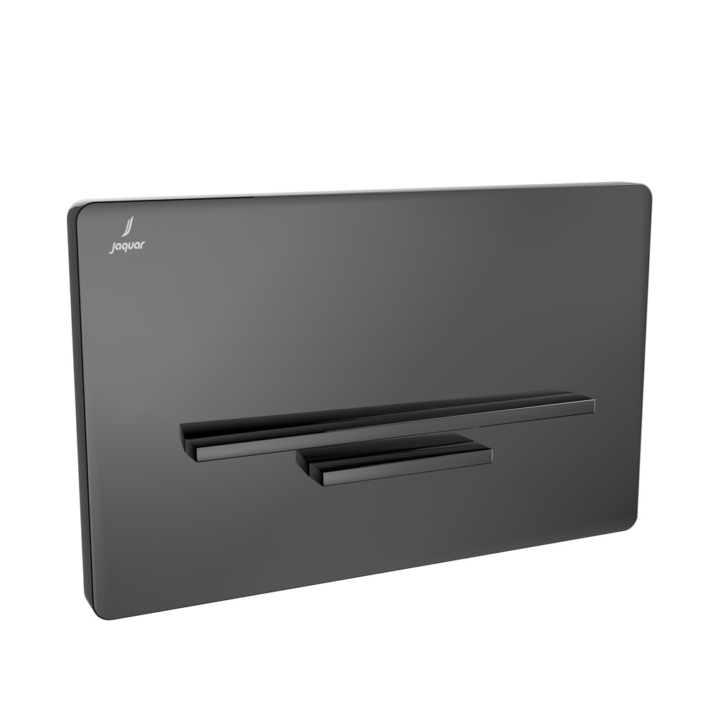 Control Plate Laguna