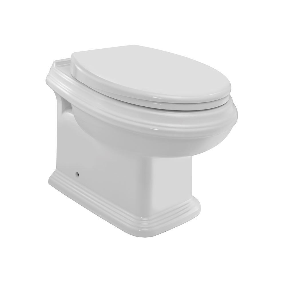 Rimless back to wall WC